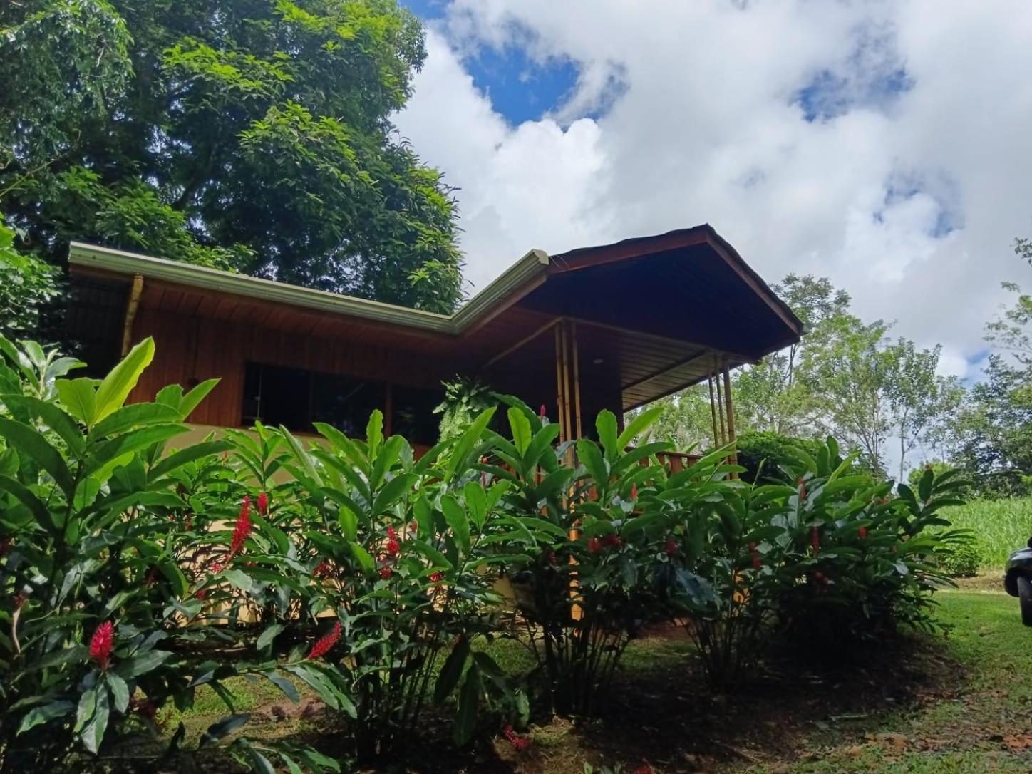 Gambas Lodge Ла Фортуна Экстерьер фото
