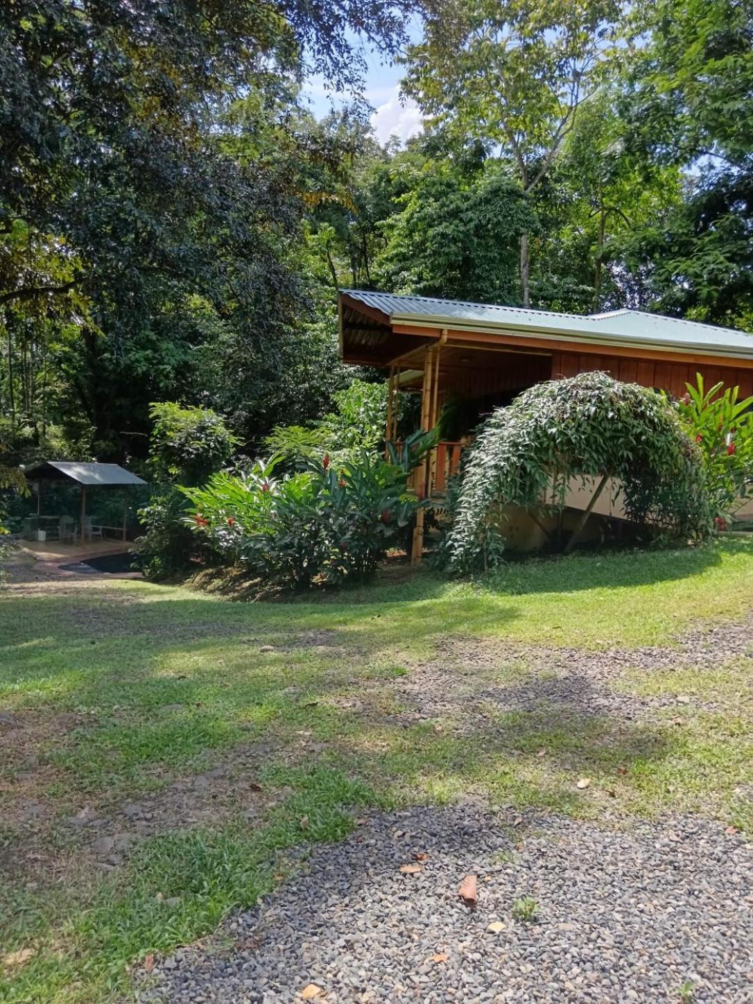 Gambas Lodge Ла Фортуна Экстерьер фото