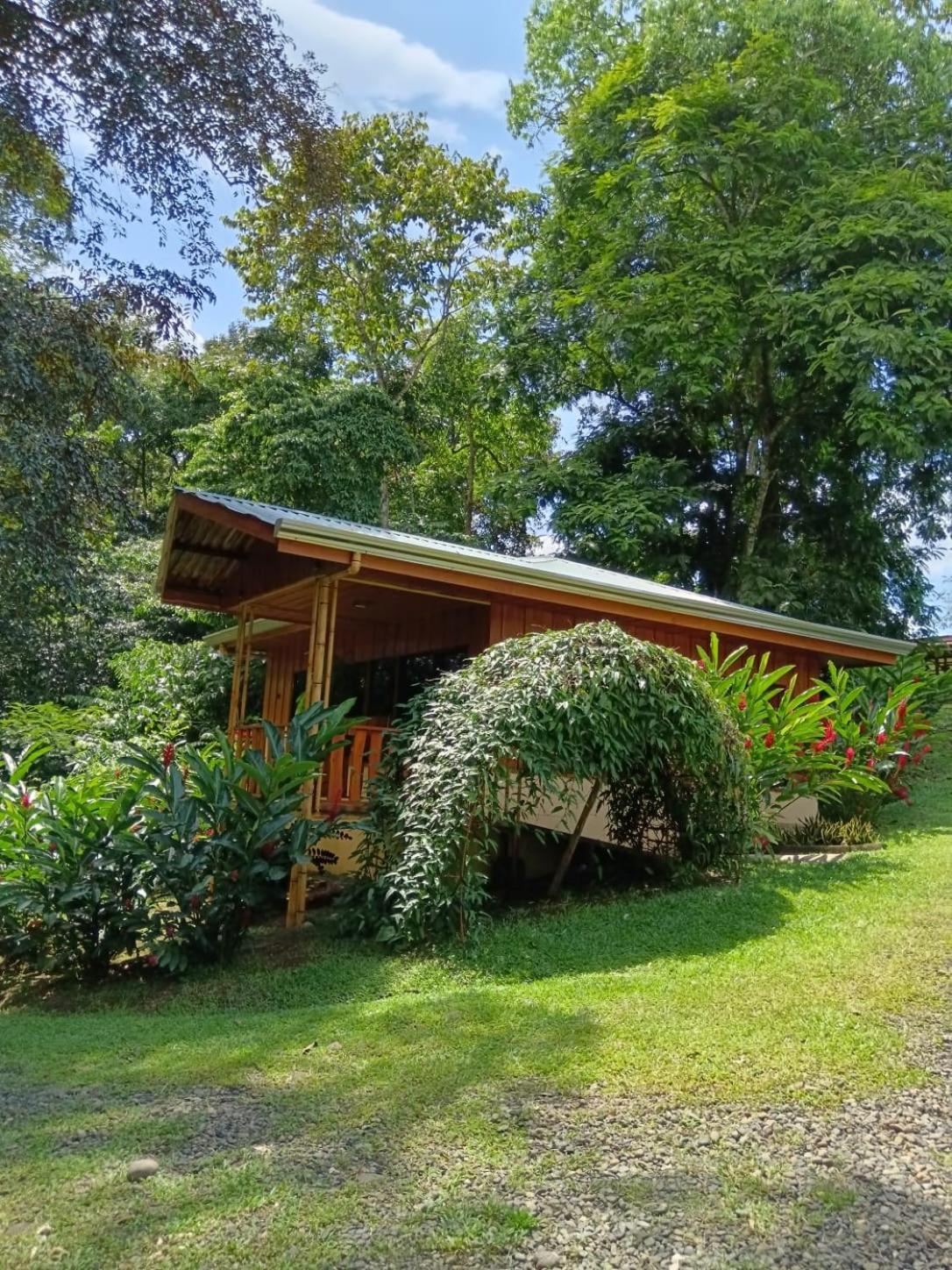 Gambas Lodge Ла Фортуна Экстерьер фото